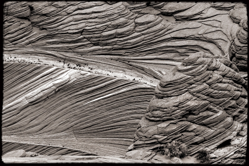 Wilderness49 Paria Wilderness, AZ/Utah border   � Dave Hickey