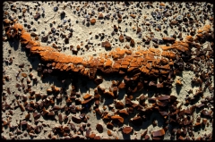 Wilderness02 Bisti Wilderness, NM   � Dave Hickey
