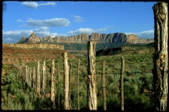 Wilderness09 East of Zion, Utah   � Dave Hickey