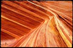Wilderness27 Paria Wilderness, AZ/Utah border   � Dave Hickey