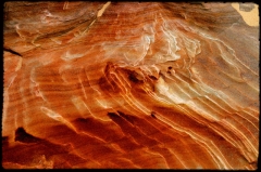 Wilderness30 Paria Wilderness, AZ/Utah border   � Dave Hickey
