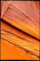 Wilderness35