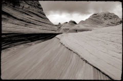 Wilderness43
