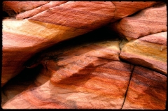 Wilderness46