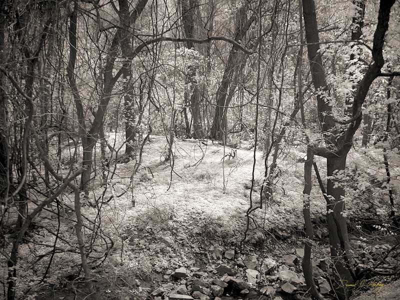 001 And So the Journey Begins in Infrared, Phoenixville, PA