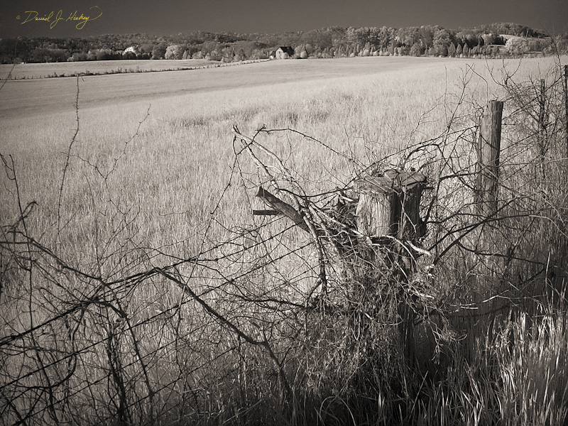 011 Old Farmhouse III, Greenback, TN -- Infrared image of the place.
