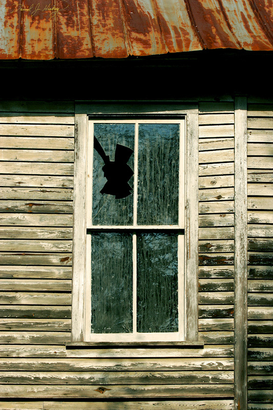 014 Abandoned Building II, Reliance, TN -- I like the contrast in lines here.