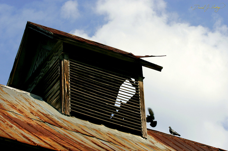 020 Pigeon Roost, Reliance, TN -- At top of the abandoned building.