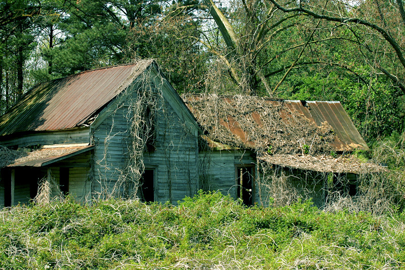 024 Another Abandoned Place II, near Dillard, GA -- The Kudzu wasn't in full-season spread yet in early May.  Within a few weeks I'd imagine this place was covered.