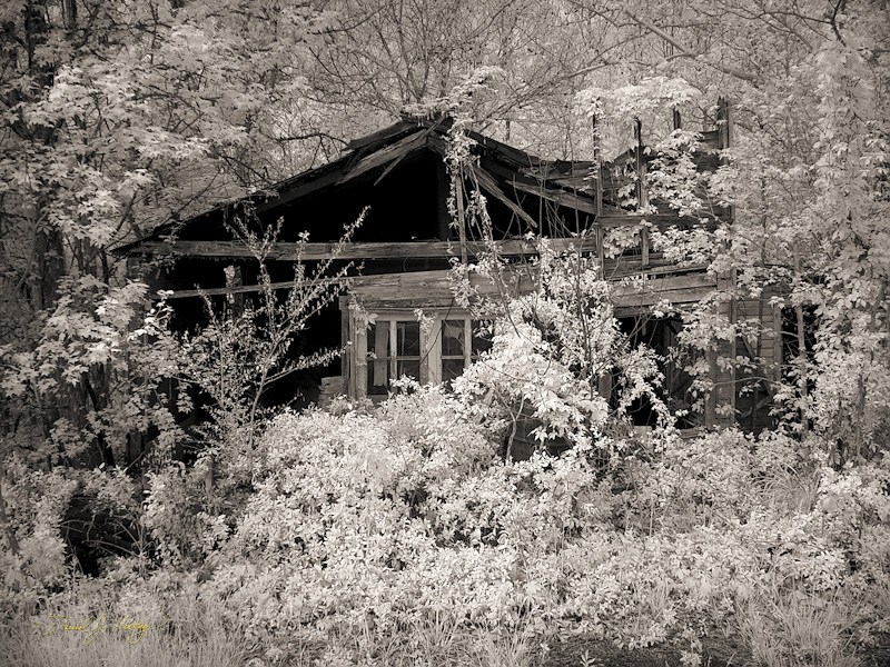 029 Yet ANOTHER Abandoned Building, near Fredonia, TN -- Took a fast drive north of Nashville while waiting to meet up with Cuz Mike Hickey and then folks from the SuperShoots' event.  Found and shot this place in infrared.