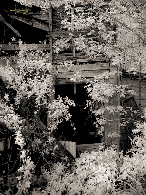 030 Yet ANOTHER Abandoned Building II, near Fredonia, TN -- A closer infrared detail shot of the place.