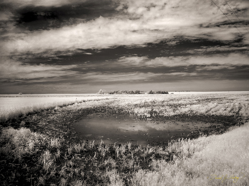 082 Rain Runoff (If runoff is even possible in such a flat area) in Infrared, near Greensburg, KS