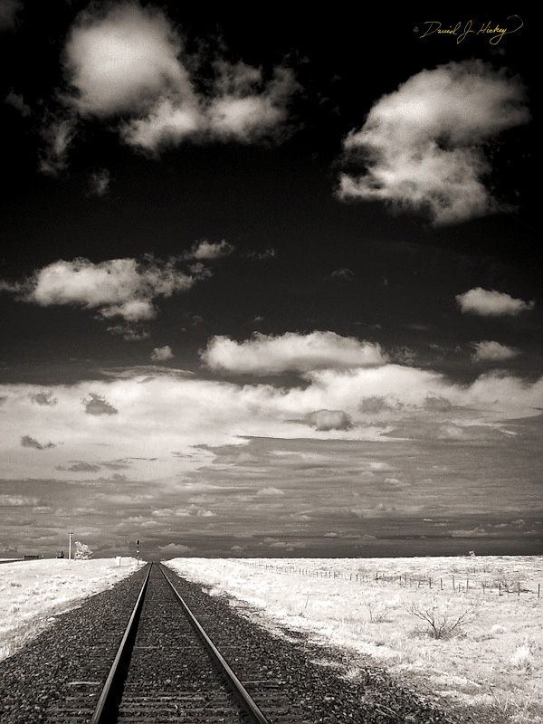 085 Tracks in Infrared, near Goodwell, OK
