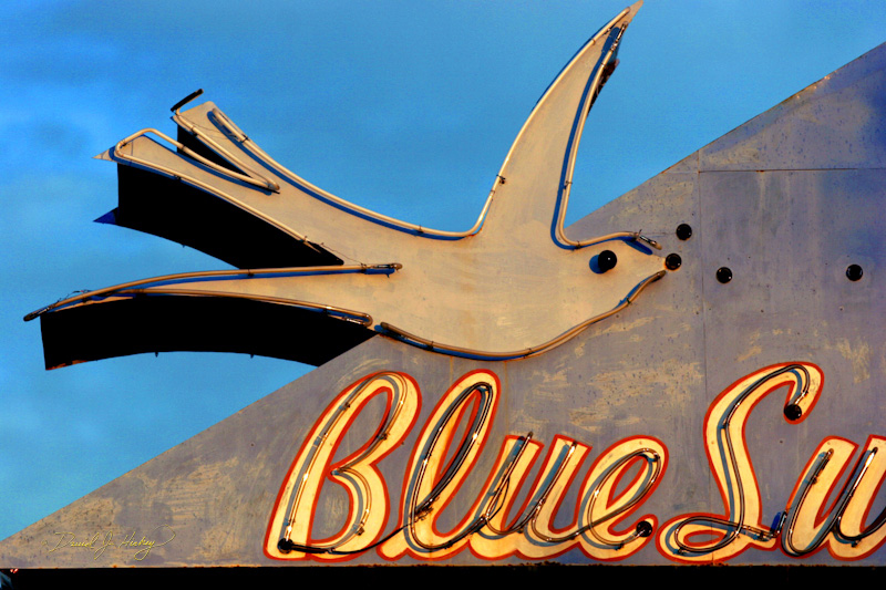 097 Motel Sign in Detail, Tucumcari, NM