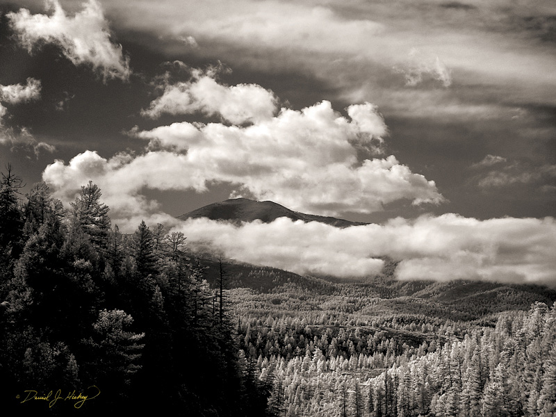 107 Sacramento Mountains in Infrared, near Mescalero, NM
