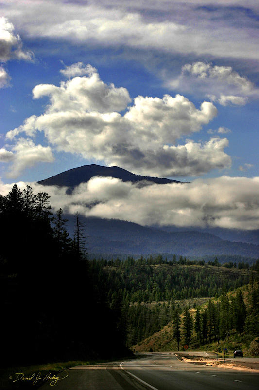 108 Sacramento Mountains, near Mescalero, NM