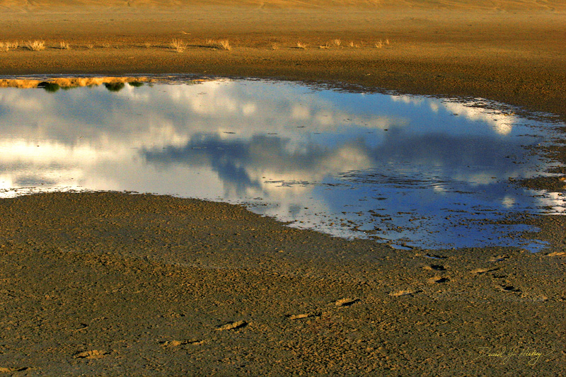 122 Wet Dry Lake Bed, near Alamogoda, NM -- I'm a sucker for reflection images, always ave been.