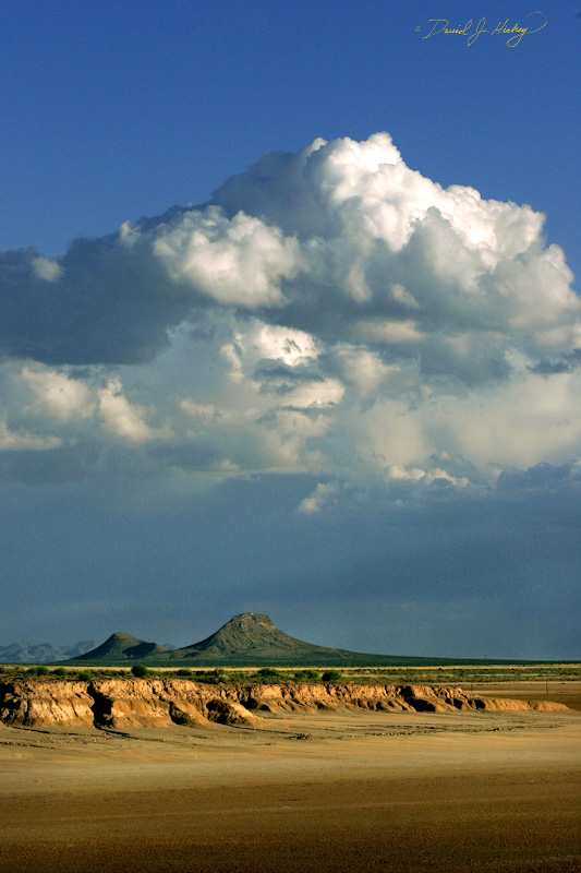 123 Desert Scene, near Alamogoda, NM