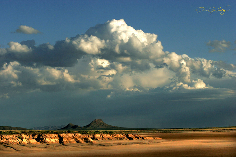 124 Desert Scene II, near Alamogoda, NM