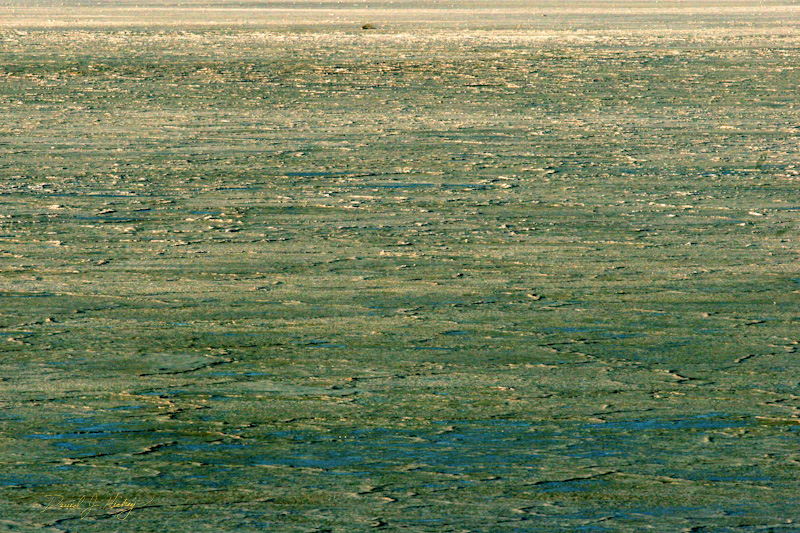 127 Wet Dry Lake Bed II, near Alamogoda, NM