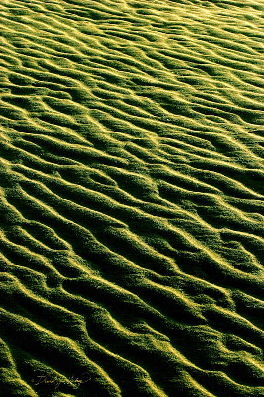 136 Dune Detail, White Sands, NM
