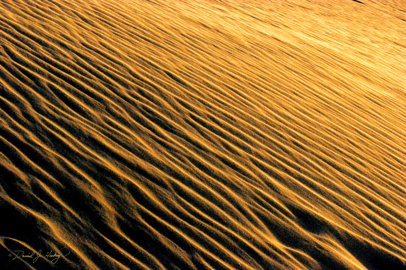 137 Dune Detail II, White Sands, NM