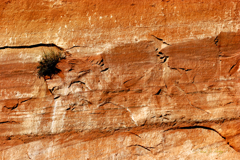 209 Rocks XIII, along the Dinosaur Diamond Prehistoric Highway, Moab, UT