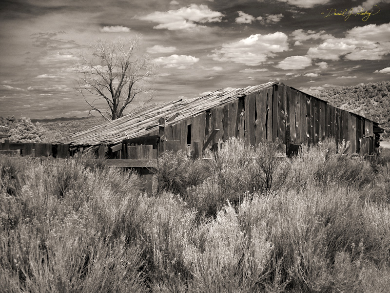 252 Farm in Infrared, along US Highway 89 south of Panguitch, UT