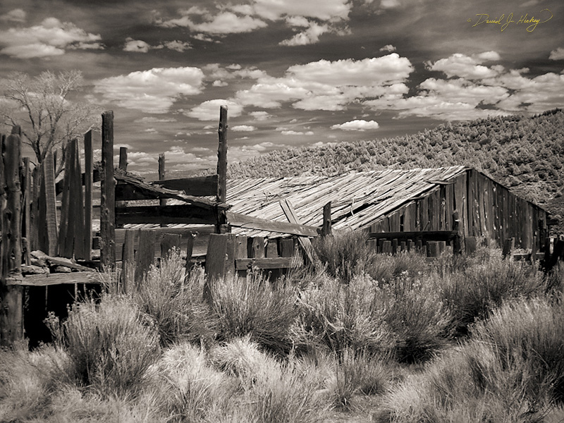 256 Farm II in Infrared, along US Highway 89 south of Panguitch, UT