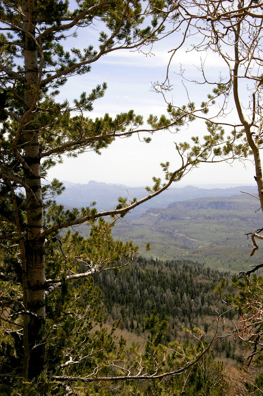 265 Forest View, Dixie National Forest, UT