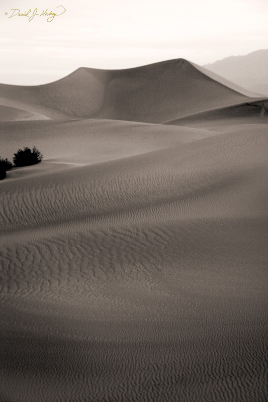 274 Dunes, Death Valley, CA