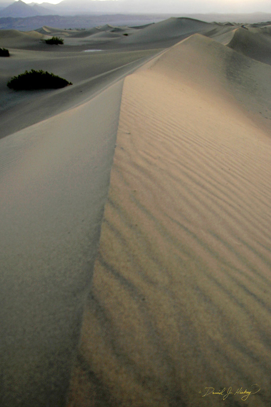 275 Dune Ridge, Death Valley, CA