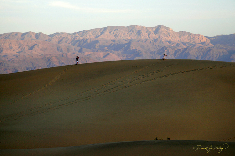 276 Early, EARLY Risers, Death Valley, CA