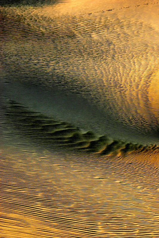284 Sun and Sand II, Death Valley, CA