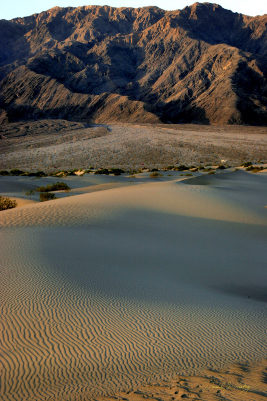 285 Dunes and Mountains, Death Valley, CA