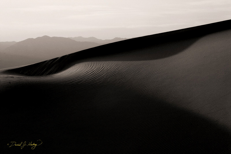 288 Delicate Shadows, Death Valley, CA