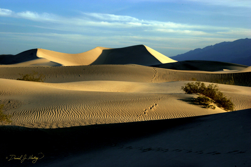 290 Dunes in Daylight, Death Valley, CA
