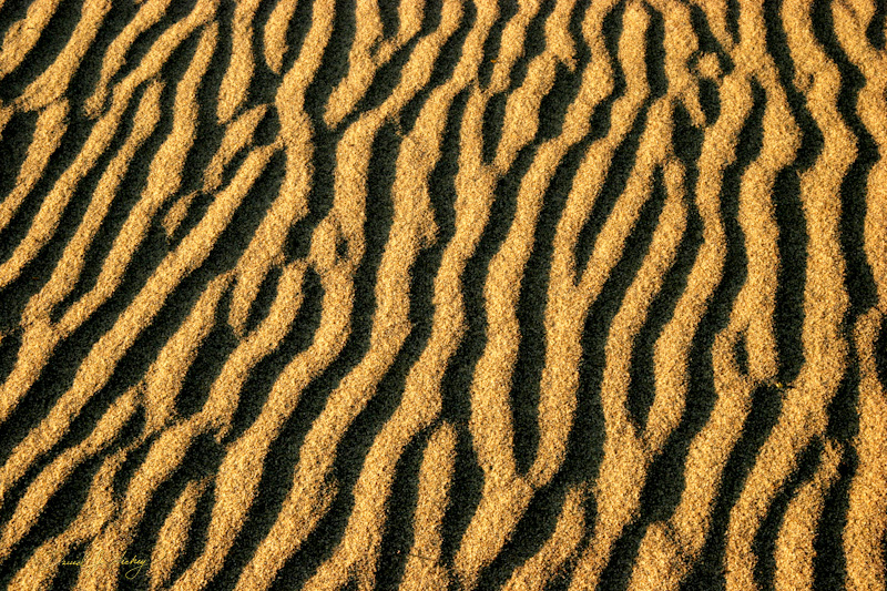 291 Tiny Shadows, Death Valley, CA