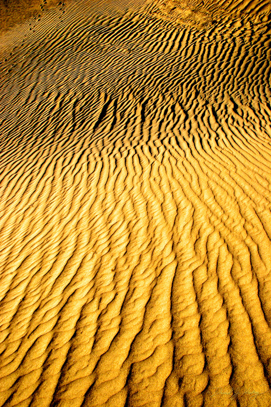293 Sun and Sand III, Death Valley, CA