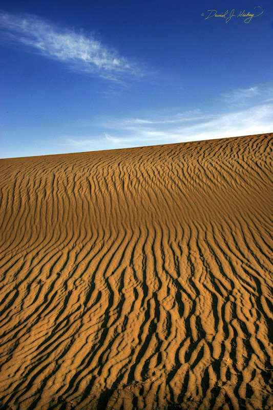 294 Sand and Sky, Death Valley, CA