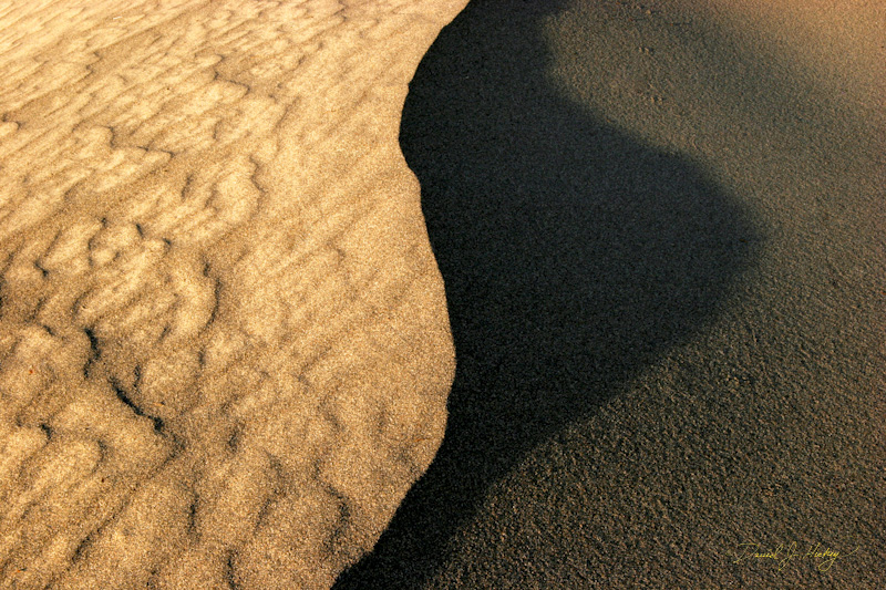 295 Mini-ridge and Shadow, Death Valley, CA