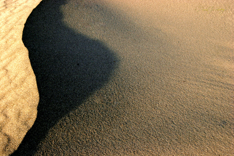 296 Mini-ridge and Shadow II, Death Valley, CA