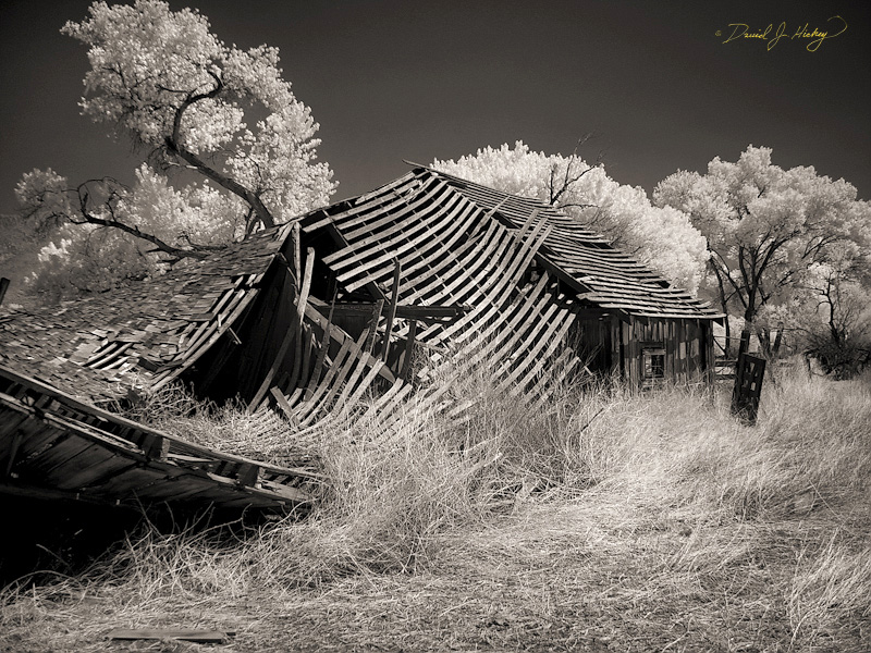 304 Abandoned Farm in Infrared, Onyx, CA