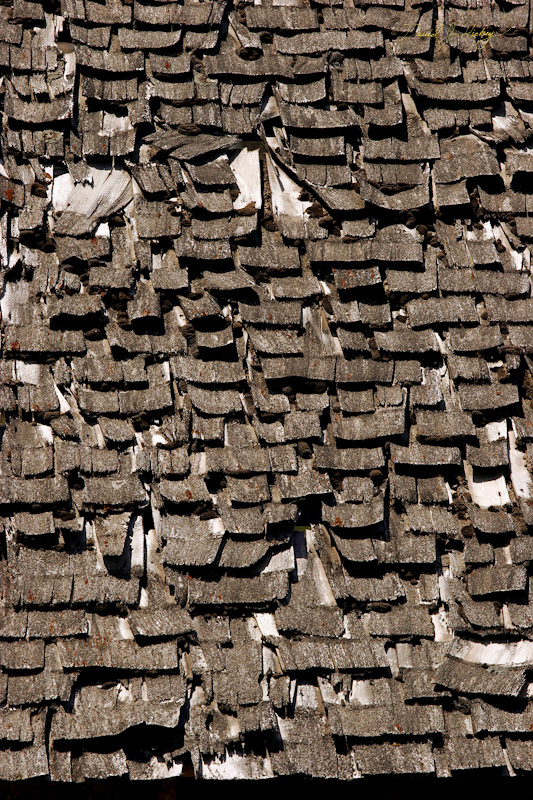 312 Abandoned Farm VII, Onyx, CA