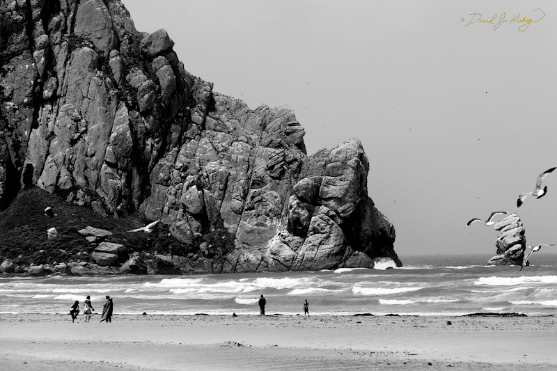 333 Seaside, Morro Bay, CA