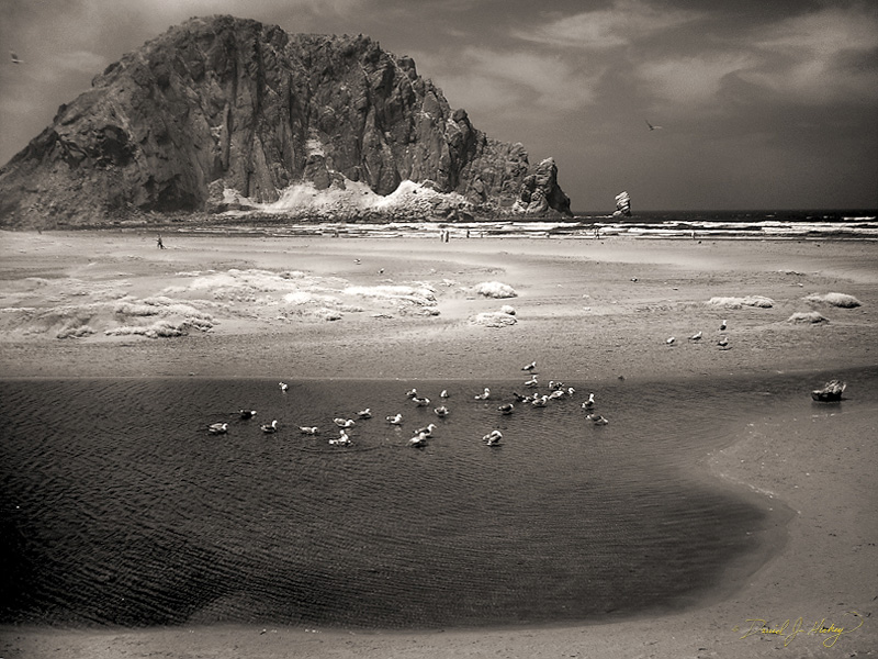 334 Seaside in Infrared, Morro Bay, CA