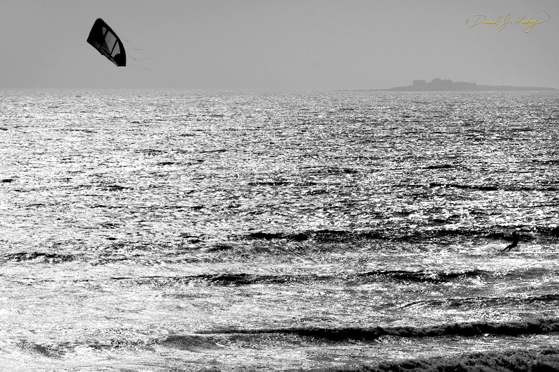 367 Kite Surfing VII, just north of Santa Cruz, CA