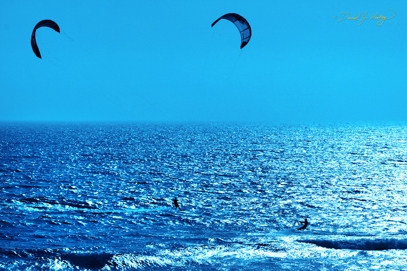 368 Kite Surfing VIII, just north of Santa Cruz, CA