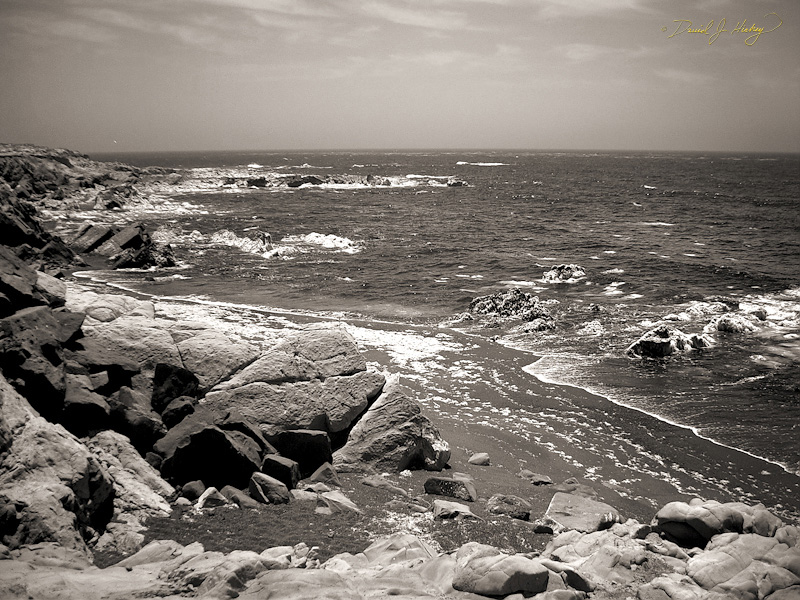 374 Coast View in Infrared, Pescadero, CA