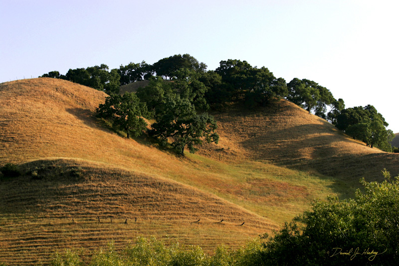 375 Hill Behind Lil' Peg's Place, Briones, CA